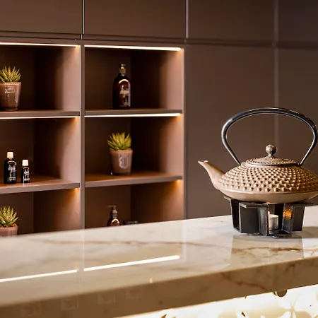 酒店 阿斯科纳贾尔迪诺酒店 阿斯科纳